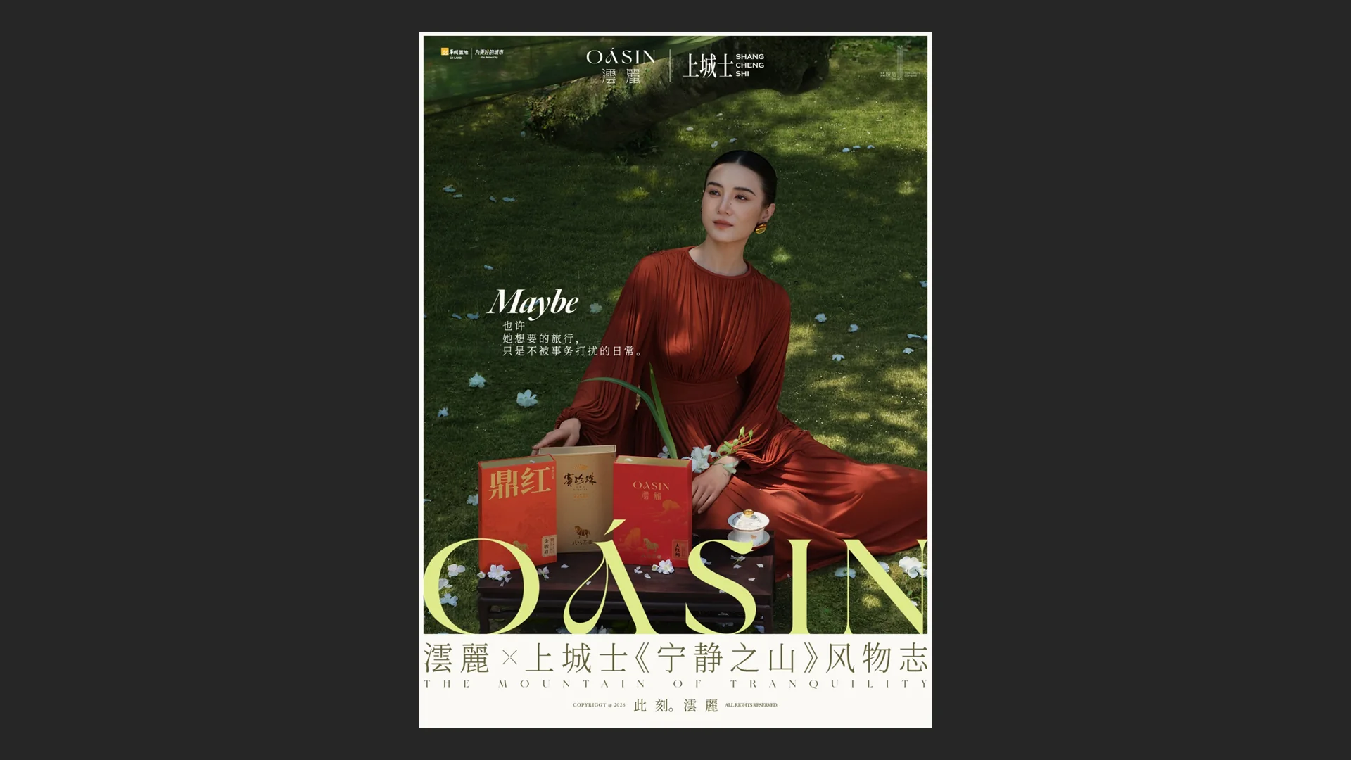 华润·澐麗品牌设计视觉提案 61