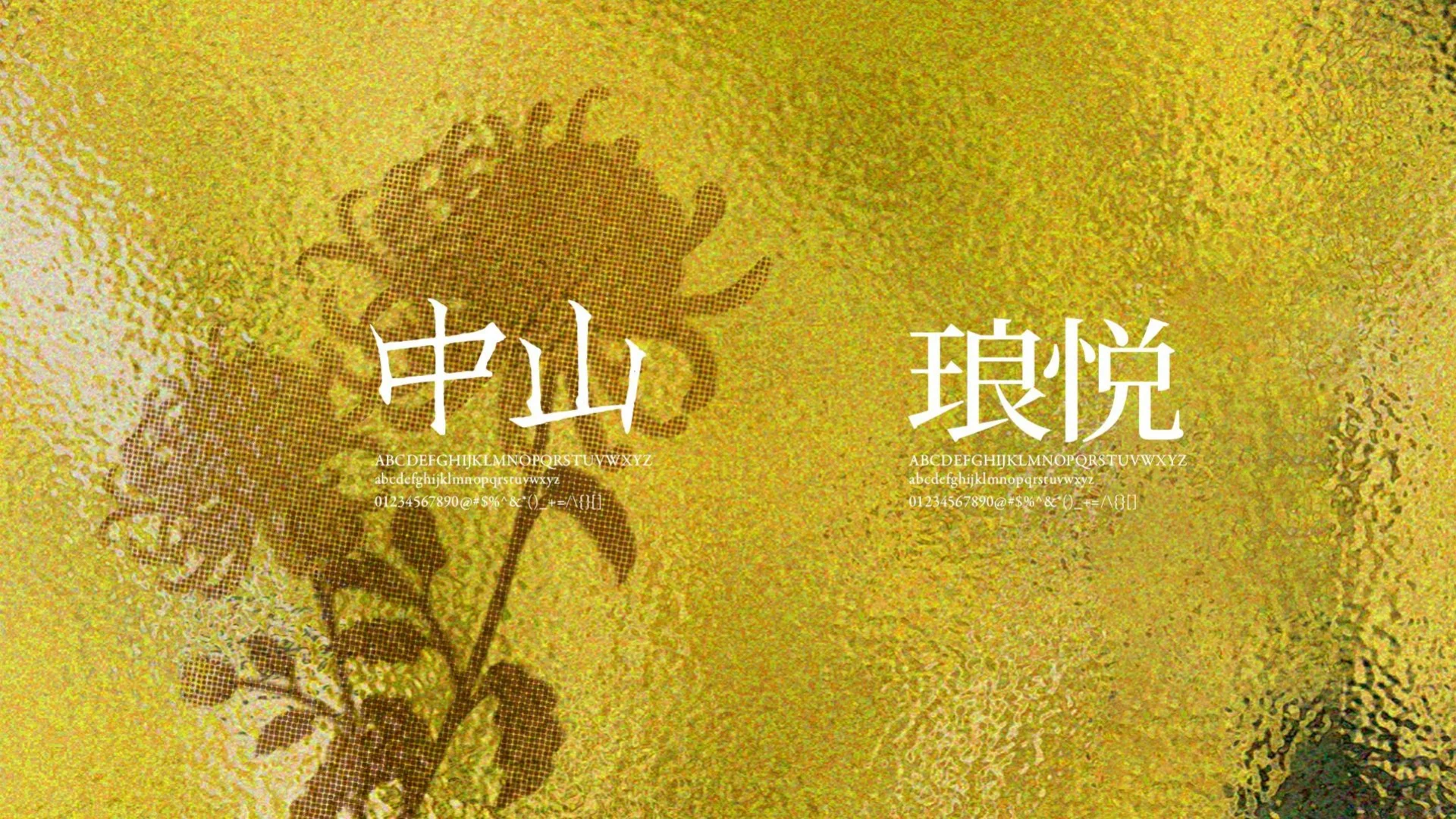 保利中山琅悦 · Page 56